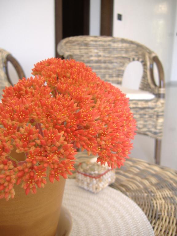 B&B Corallo Capilungo Exterior foto